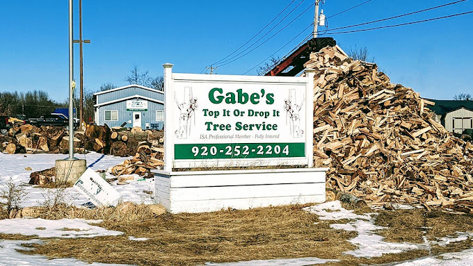 Contact Gabe's for Lot Clearing Services