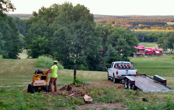 Gabe's Stump Removal Services