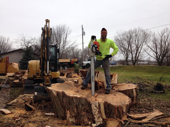 Lot Clearing Services - Stumps