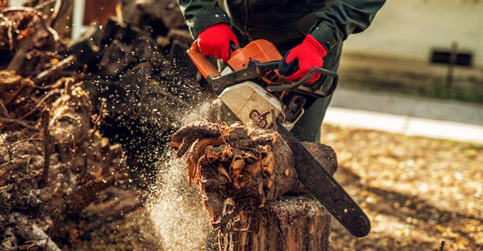 Stump Removal