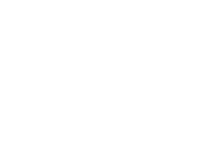 Fallen Tree