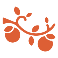 Fruit Tree Pruning
