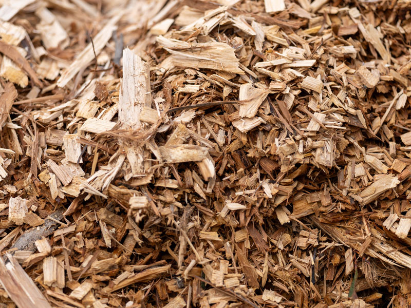 Wood Chips from the Stump Grinding Process